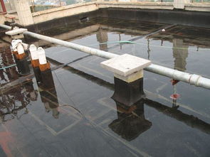 成都屋頂花園防水懂得這個3點告別漏水