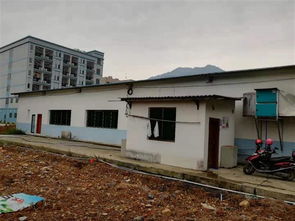 永州市房屋建筑安全檢測鑒定找什么機(jī)構(gòu) 新聞